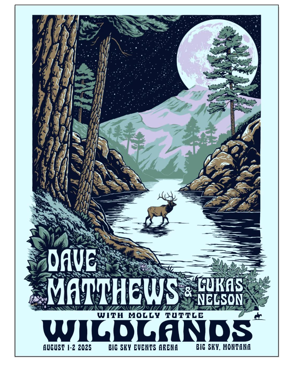 Dave Matthews Wildlands Poster