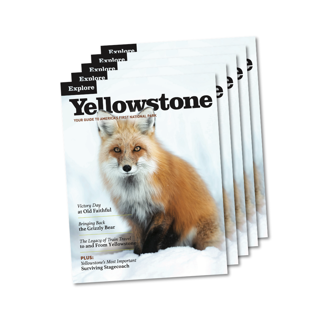 Explore Yellowstone Magazine - Previous Editions