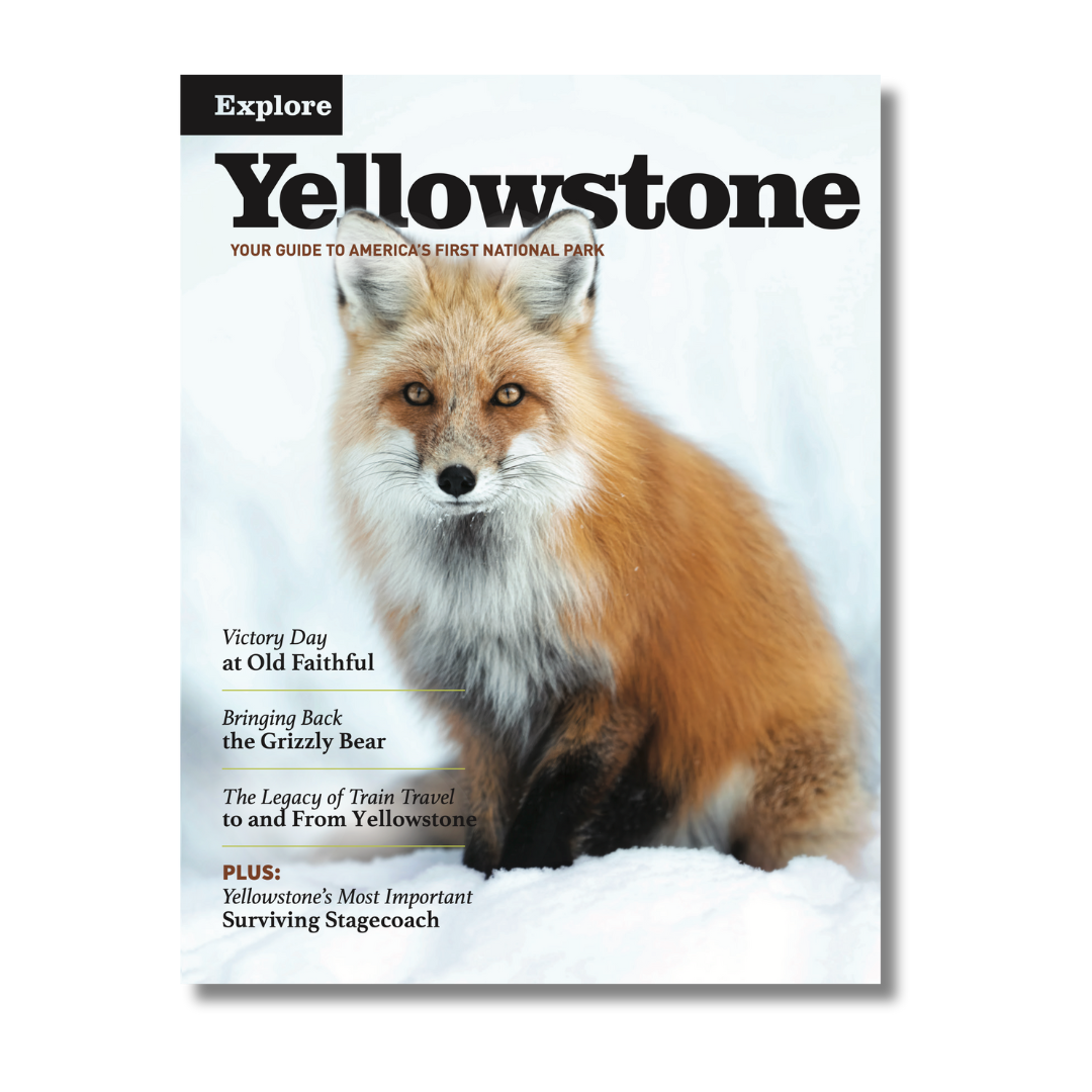 EY Cover Winter 2025