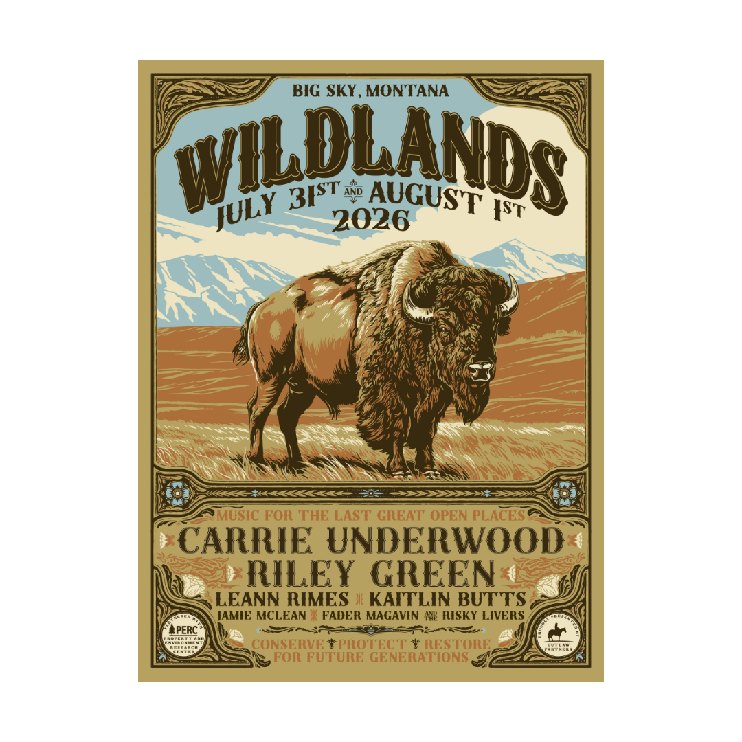 Wildlands 2026 Artist Lineup Poster - AVAILABLE AT VENUE ONLY